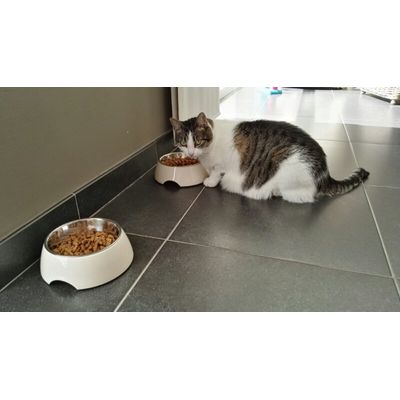 Lenthel in actie