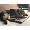 Toki sul tappetino
