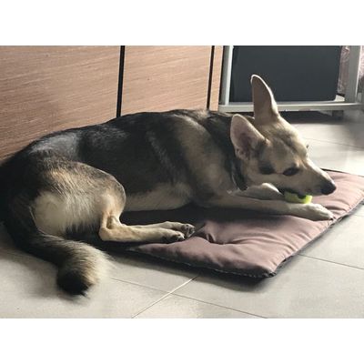 Toki sul tappetino