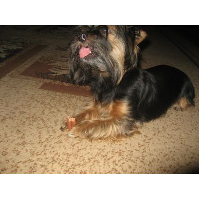 LILI