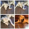 How to keep Max quiet