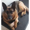 Xena