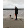 Skipper ved stranden