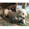 Play time 
