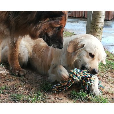 Play time