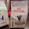Royal Canin