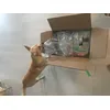 Unboxing