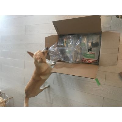 Unboxing