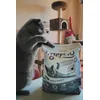 Tigerino Special Care active carbon