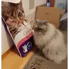 Mimi