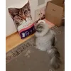 Mimi