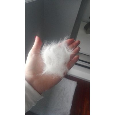 Pelos fuera en 5minutos