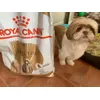 Otto y su comida