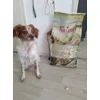 max et sont paquet de 12 kilos