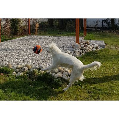 Bester Ball
