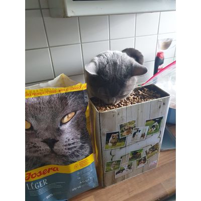 Er liebt es