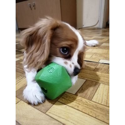 Poro