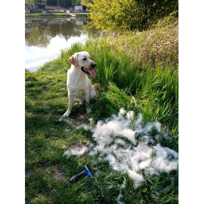 Furminator