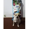 Alma