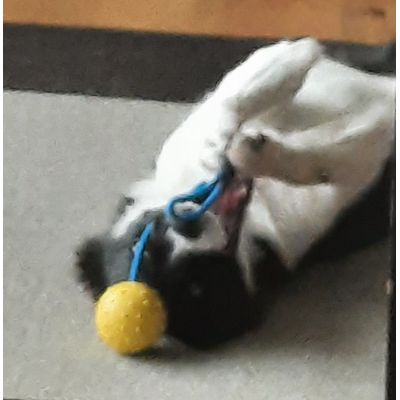 Ruby mit ball