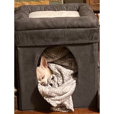 Doggy den x