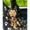 Flummi liebt die Decke 