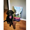 Marlo 11 months