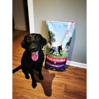 Marlo 11 months