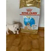Bruce e a Royal Canin