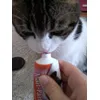 Minnie love Smila