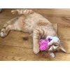 Brilliant kitten toy
