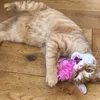 Brilliant kitten toy