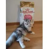 Minni 
