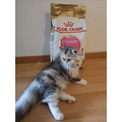 Minni