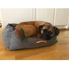 Bullmastiffinarttu 45kg pedin koko 80xL60xK20