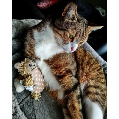 Yuki et son doudou