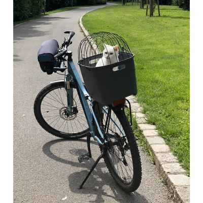 Yusia is enjoying her bicycle