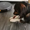 MIkki