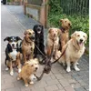 Kleines Familienfoto