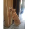 trixi 