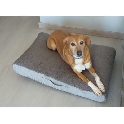 Comfortable