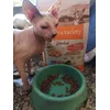 A mi gatita especial le gusta comida special 