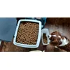 Burns Dry Chicken and Rice Dog Food