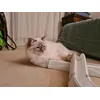 If it fits I sits