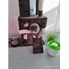 Mia