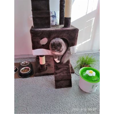 Mia