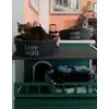 Triade felina