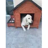 Miro
