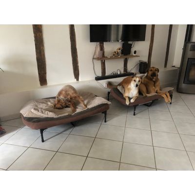 Maki et Neo