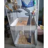 Ratten villa 